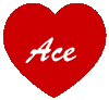 Avatar for Ace Rug Cleaning Company Inc