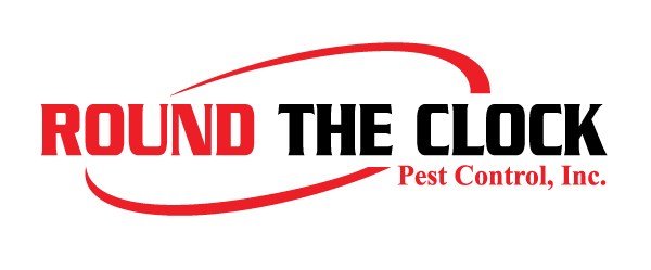 Avatar for A ROUND THE CLOCK PEST CONTROL