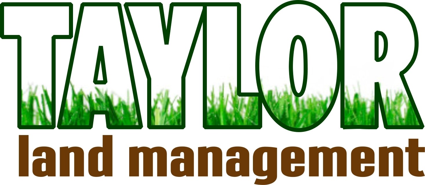 Avatar for TAYLOR LAND MANAGEMENT