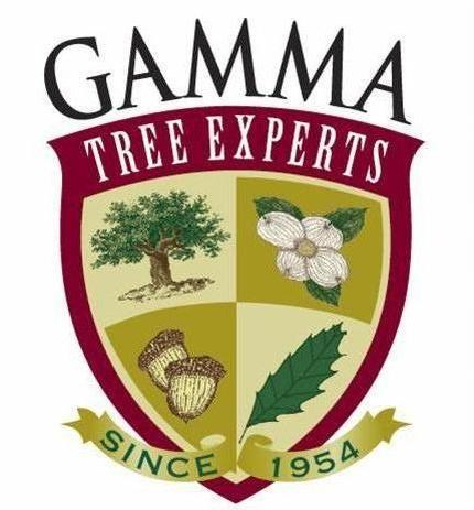 Logo for Gamma Tree Experts