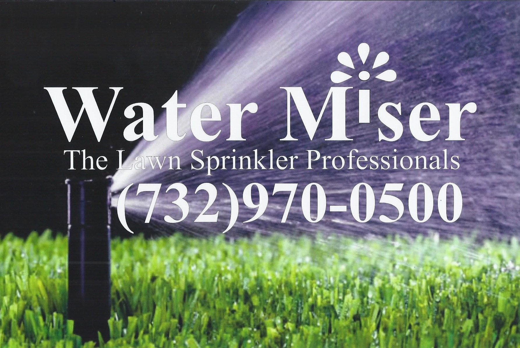 Logo for WATER MISER