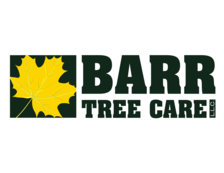 Logo for Barr Tree Care