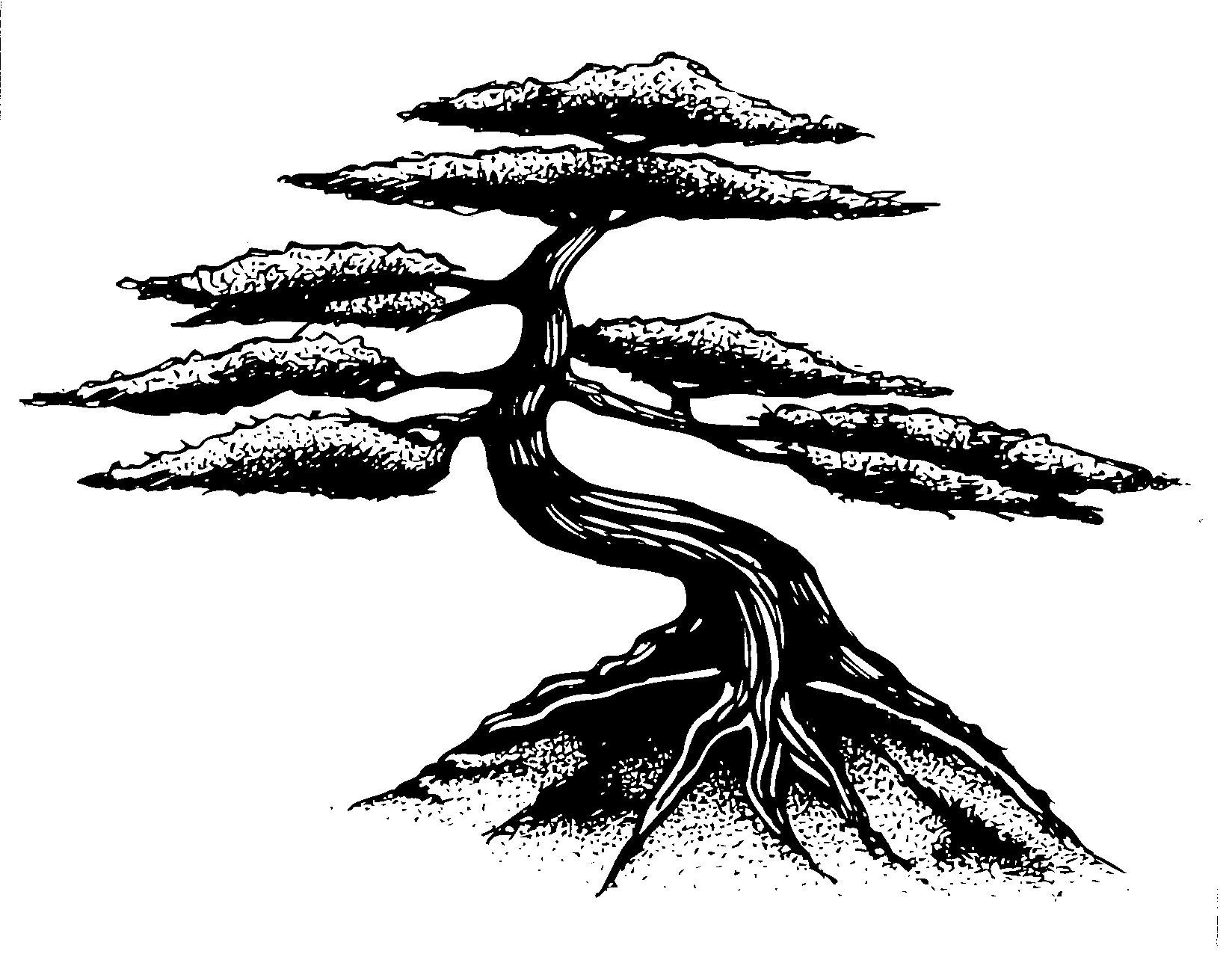 Avatar for Dig It Landscape & Gardening Service