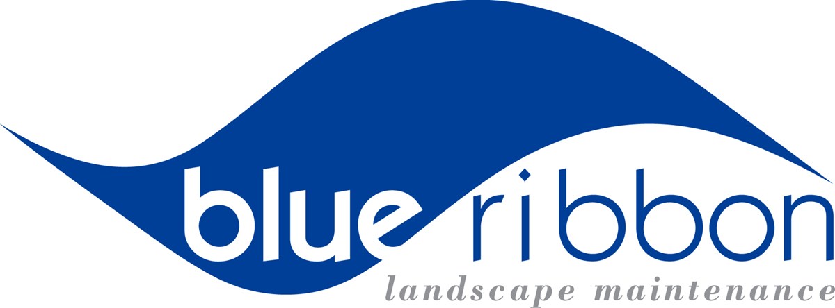 Avatar for Blue Ribbon Landscape Inc