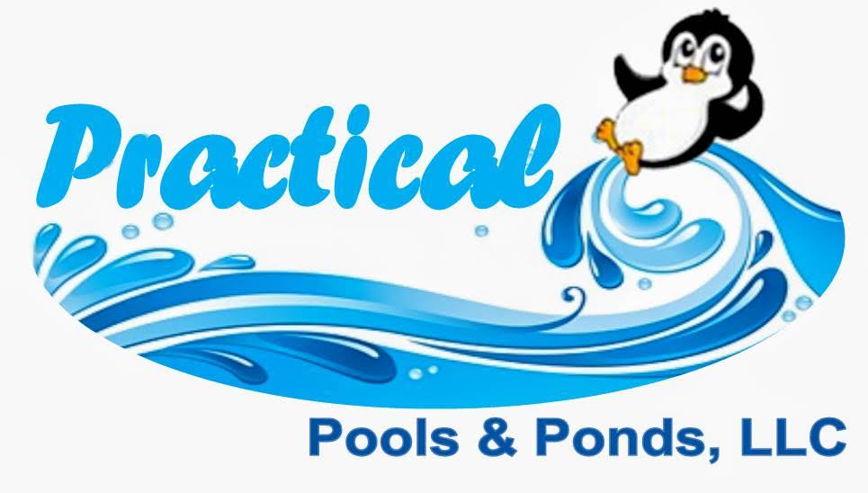 Avatar for PRACTICAL POOLS & PONDS LLC