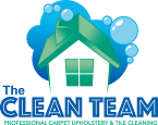Logo for THE CLEAN TEAM