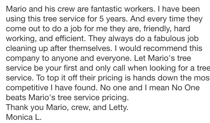 Mario's Tree Service logo