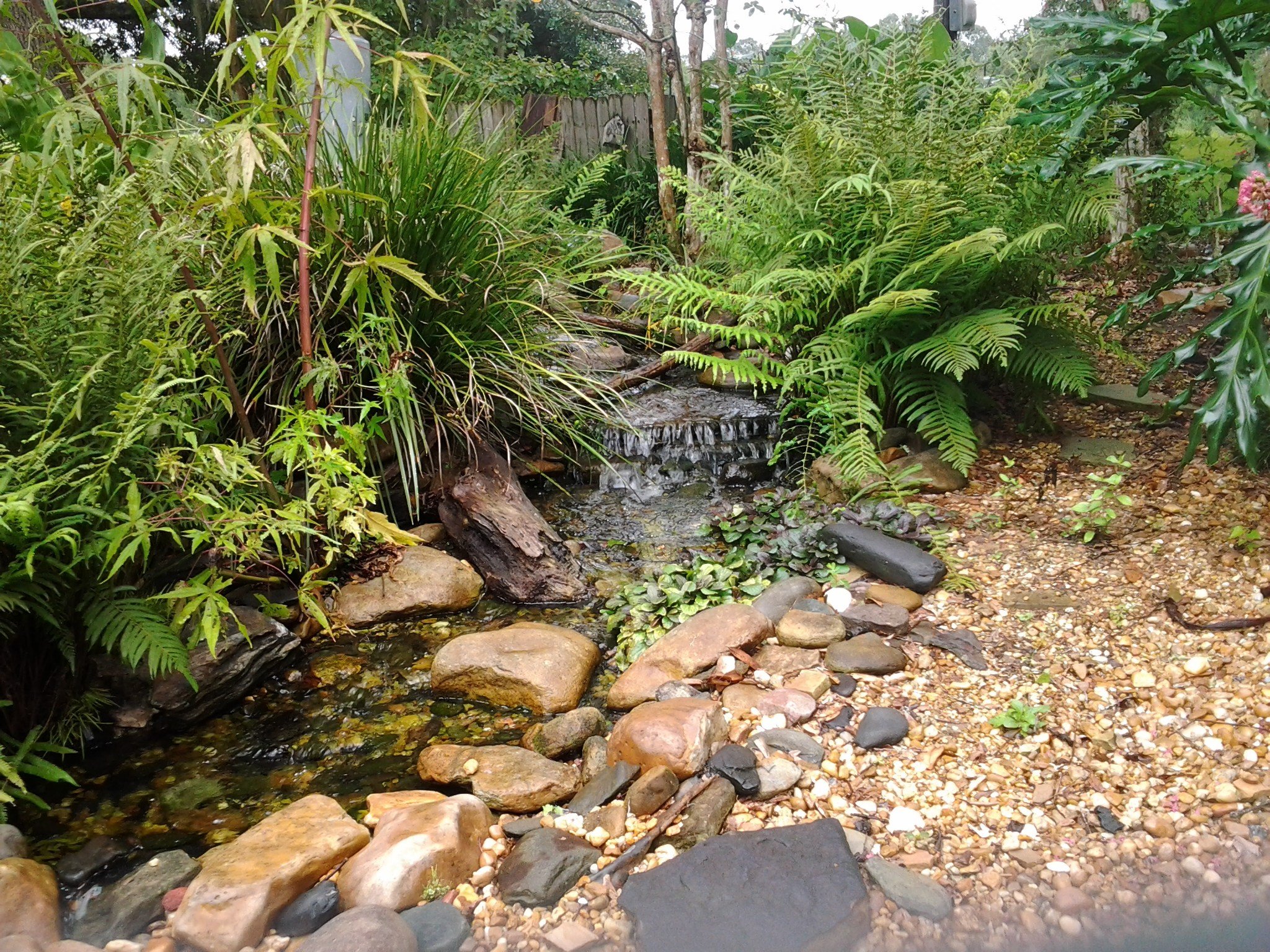 Avatar for Aqua Features