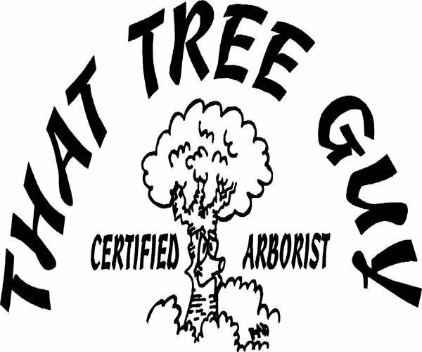 Avatar for That Tree Guy