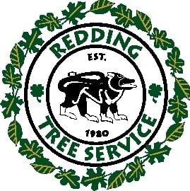 Logo for Redding Tree Service