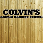 Logo for Colvins Animal Damage Control