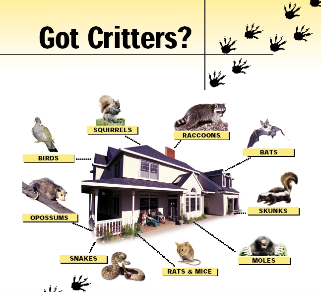 Logo for CRITTER CONTROL
