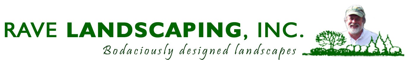 Avatar for Rave Landscaping, Inc.