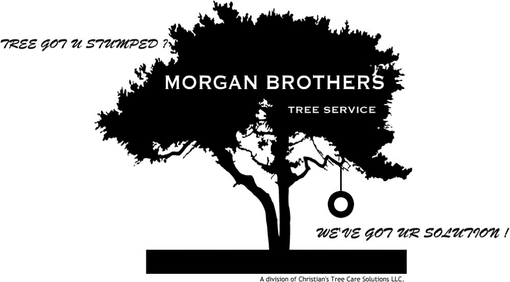 Logo for MORGAN BROTHERS TREE SVC