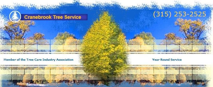 Avatar for Cranebrook Tree Service