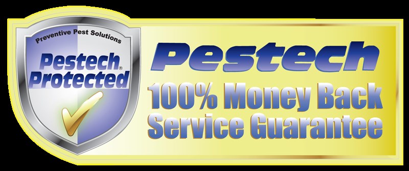Avatar for Pestech - Pest Control Solutions