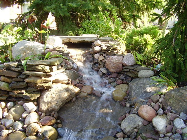 Avatar for Jacrist Gardening Services Inc