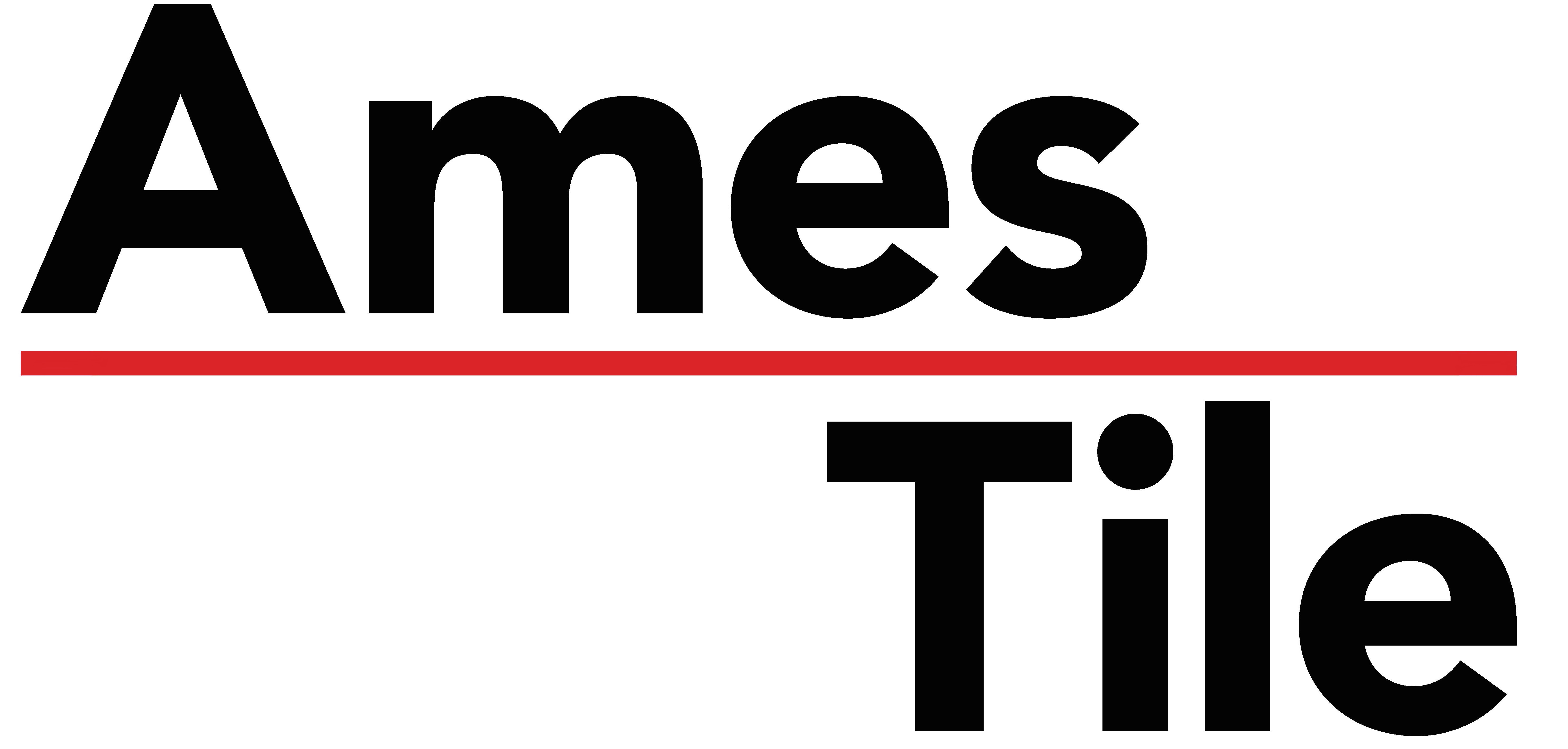 Avatar for AMES TILE INC