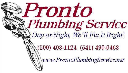 Avatar for Pronto Plumbing Service