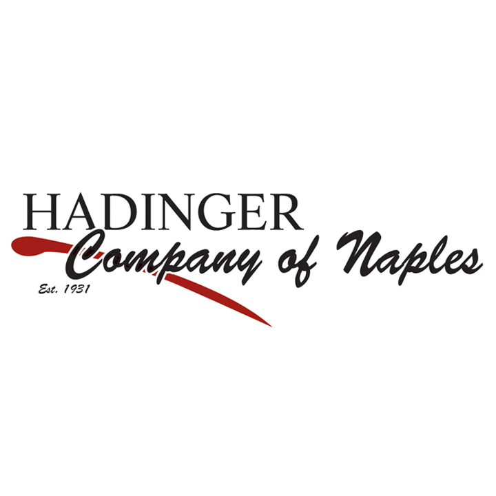 HADINGER CARPET INC logo