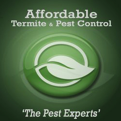 Affordable Termite & Pest Control logo