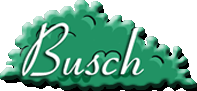 Avatar for BUSCH PLASTERING & STUCCO