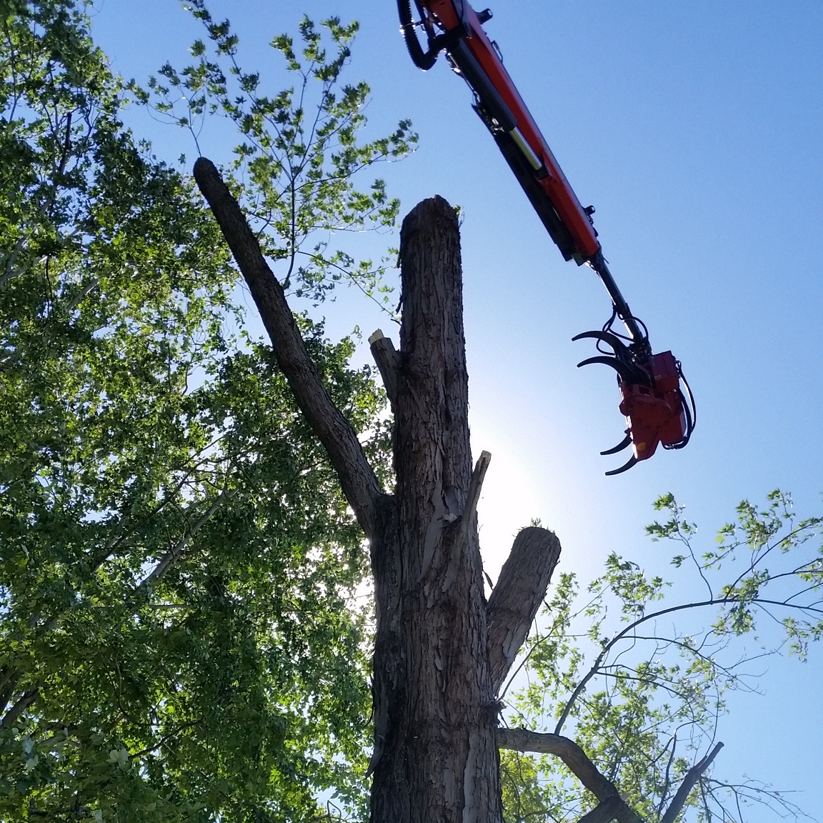 Logo for GERASIMEK & SONS TREE SVC