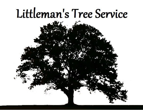Logo for LITTLEMAN'S TREE SVC
