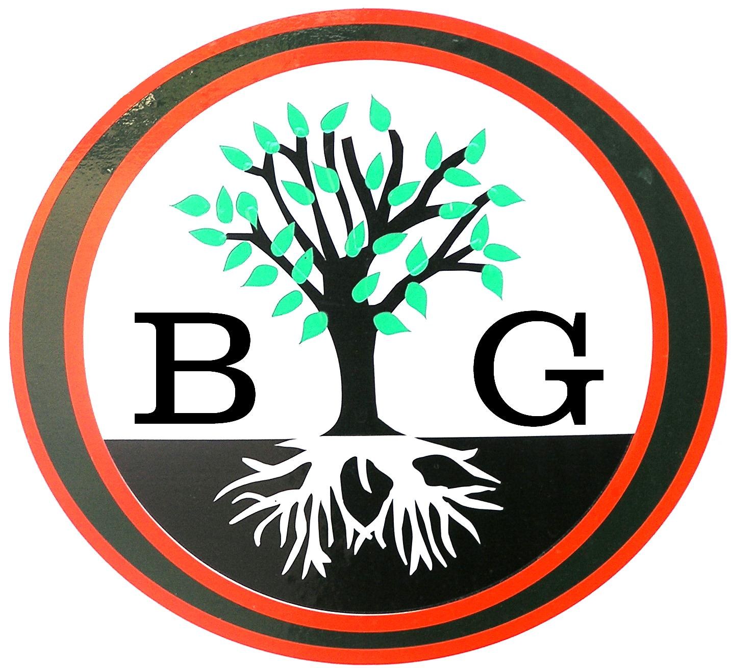 Avatar for Big O Tree and Lawn Service