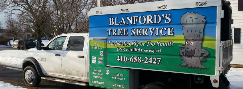 Logo for Blanford's Tree Service LLC