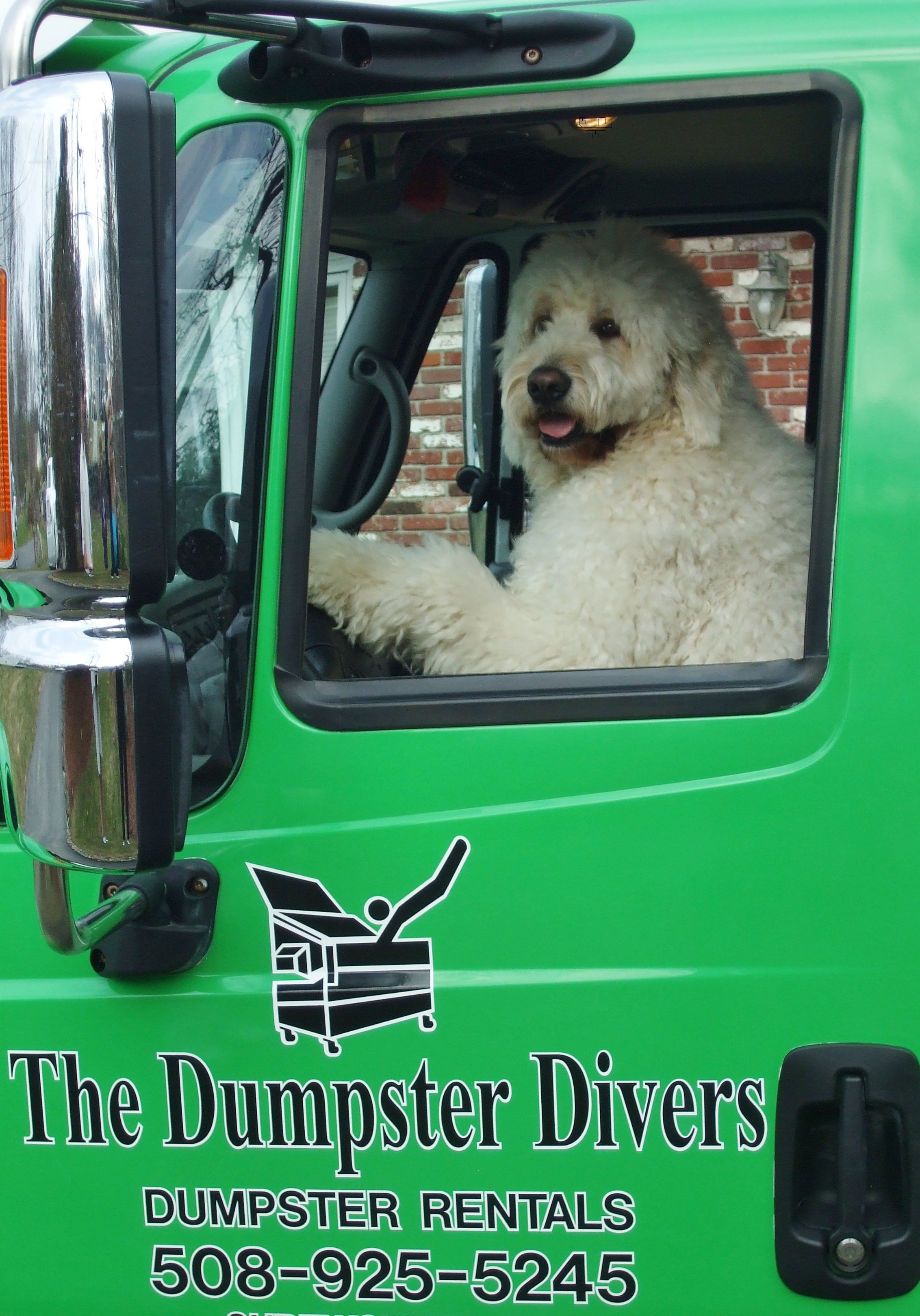 Avatar for The Dumpster Divers