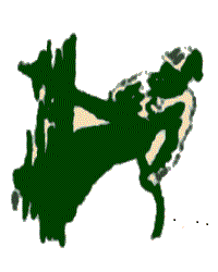 Avatar for EMMONS TREE & LANDSCP SVC LLC