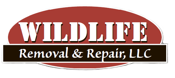 Logo for Wildlife Removal & Repair LLC.