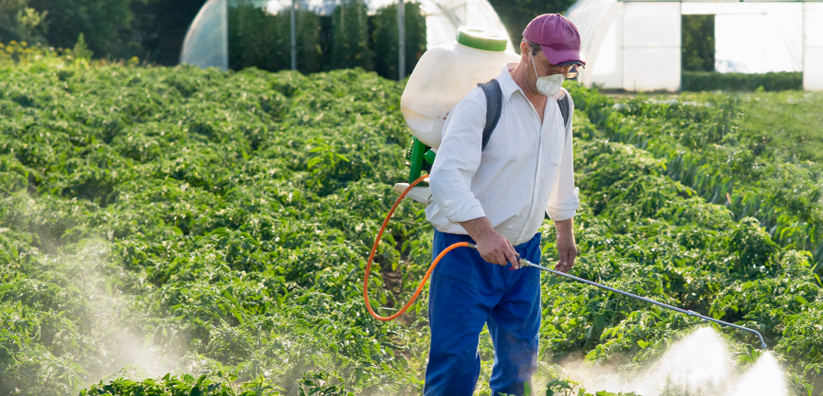 Logo for Bug Master Pest Control