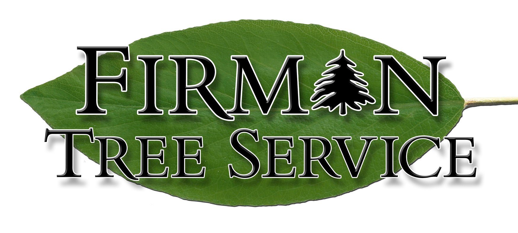 Avatar for Firman Irrigation & Landscape Lighting LLC