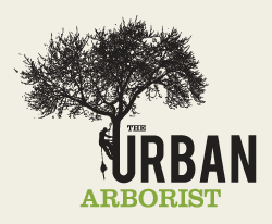 Logo for The Urban Arborist