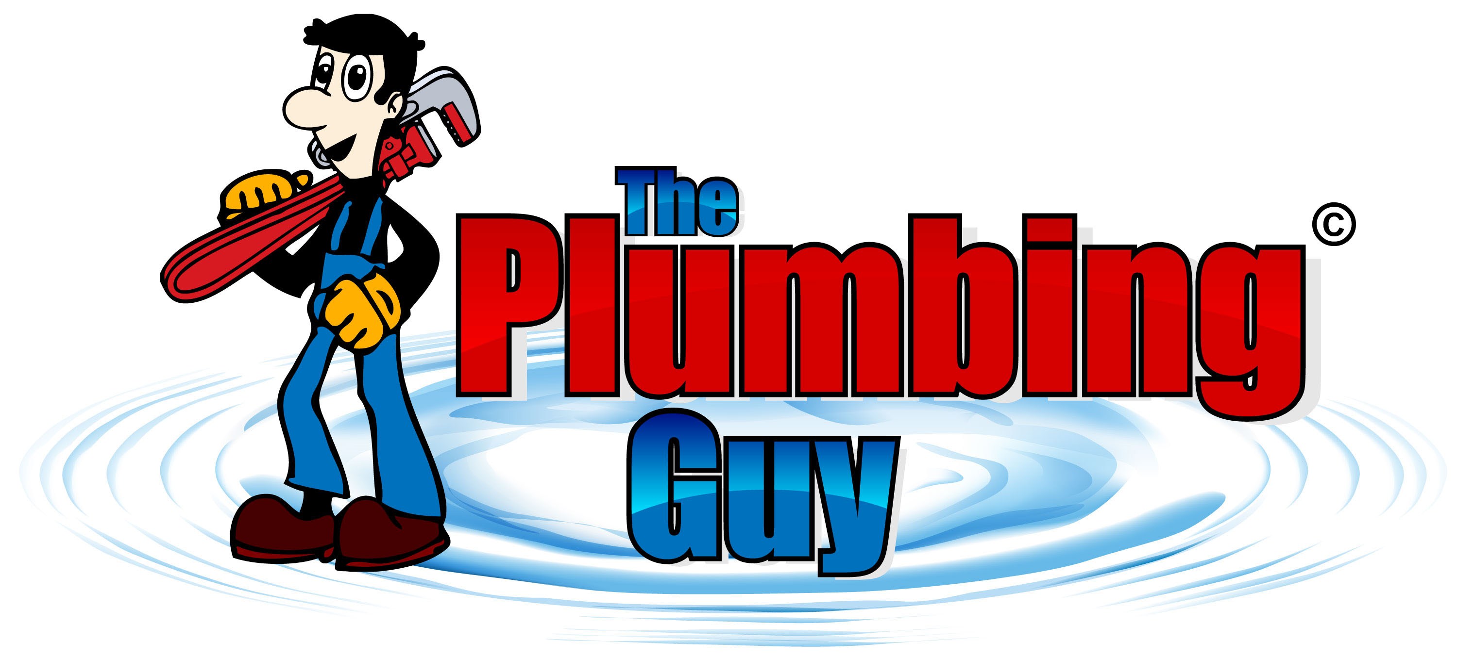 Avatar for The Plumbing Guy