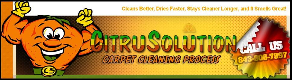 Avatar for Lowcountry Citrus Solution