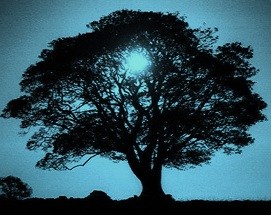 Logo for Blue Valley Remodeling, Inc.