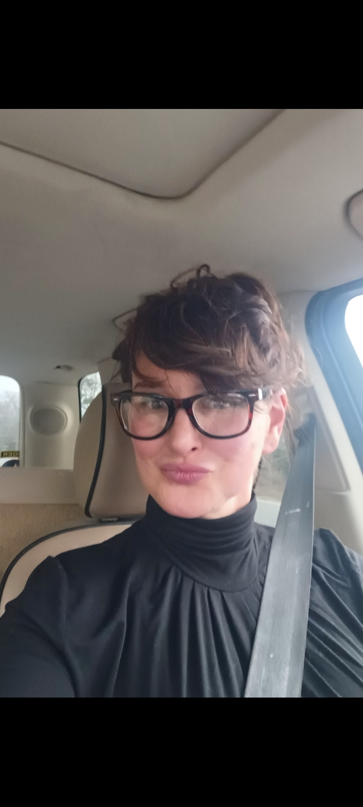 Logo for Kelly A Francis Paint