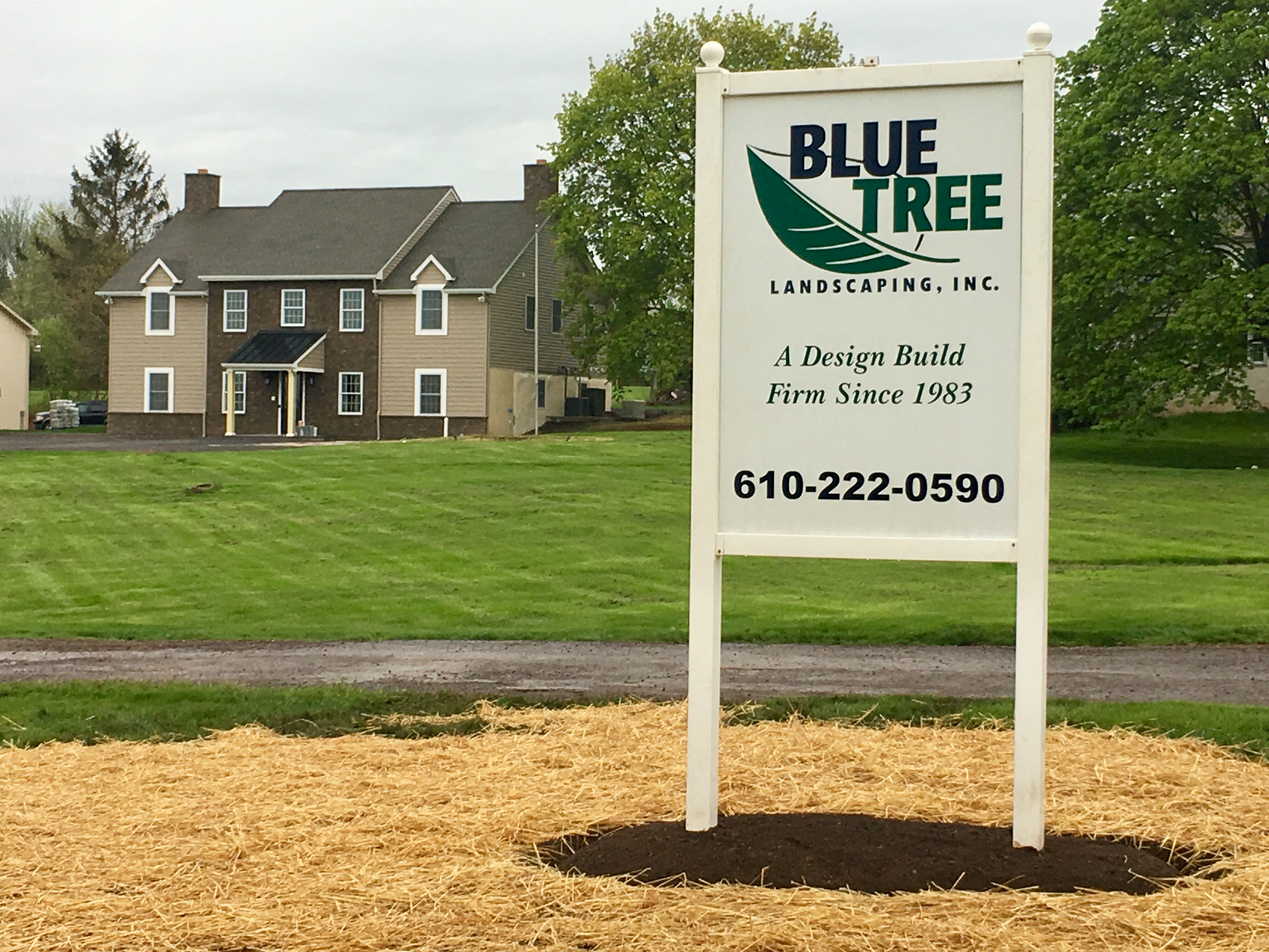 Avatar for Blue Tree Landscaping Inc