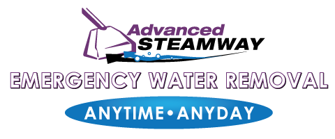 Logo for Advanced Steamway