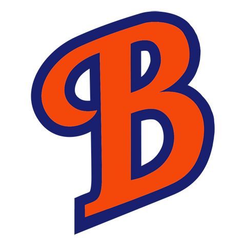 Burton's Plumbing & Heating logo