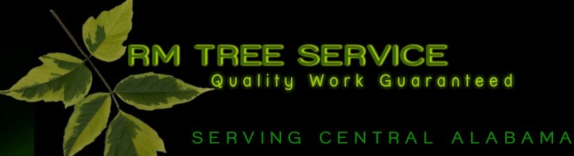 Logo for RM Tree Service