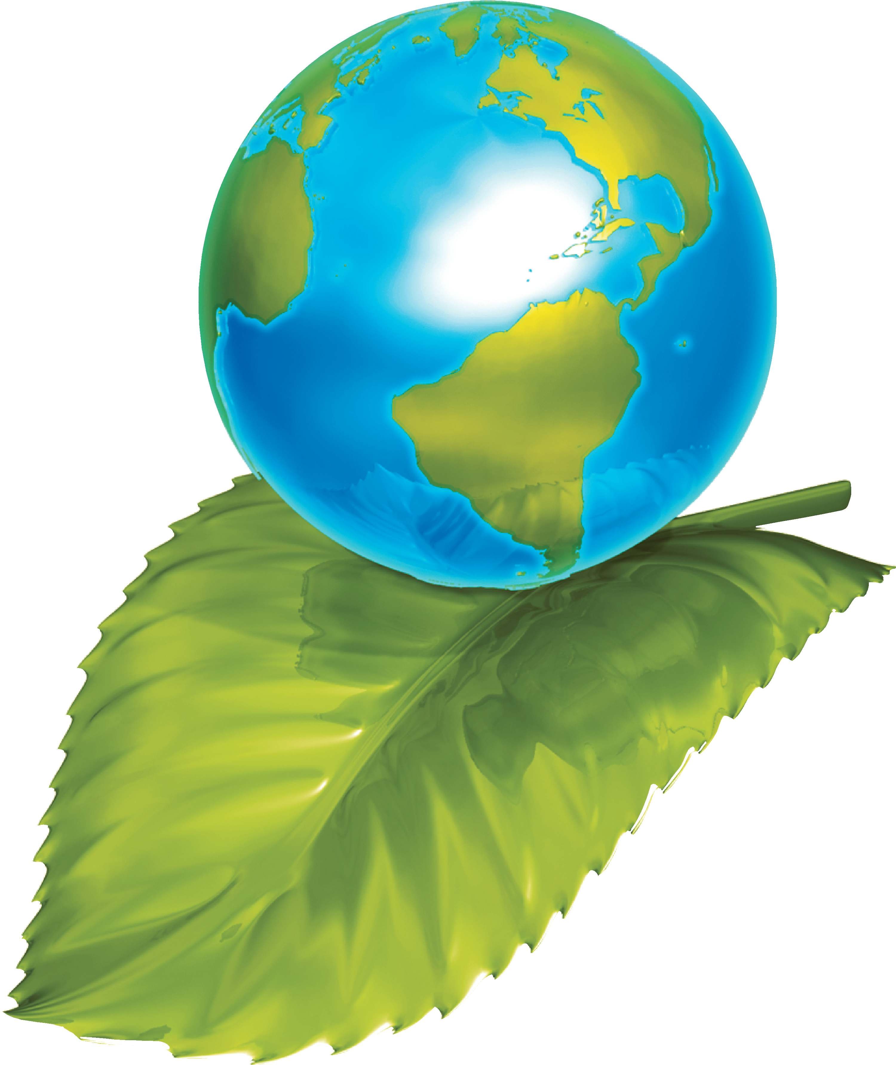 Avatar for Clean Green Restoration