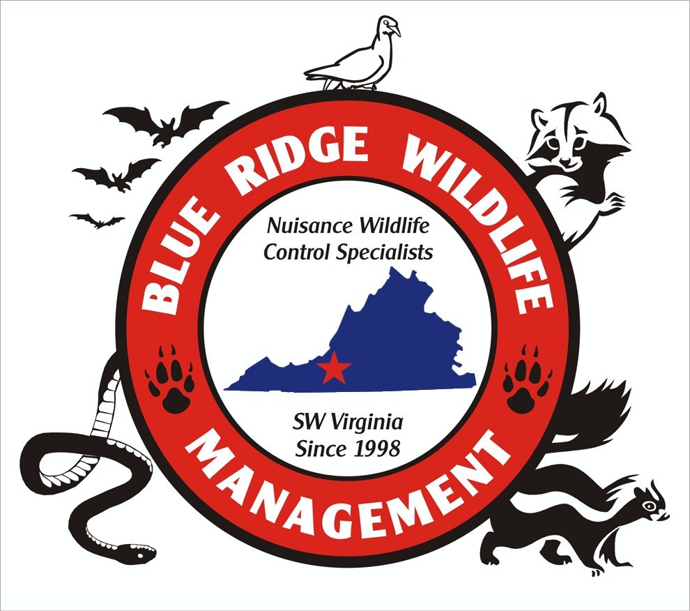 Avatar for Blue Ridge Wildlife Management LLC