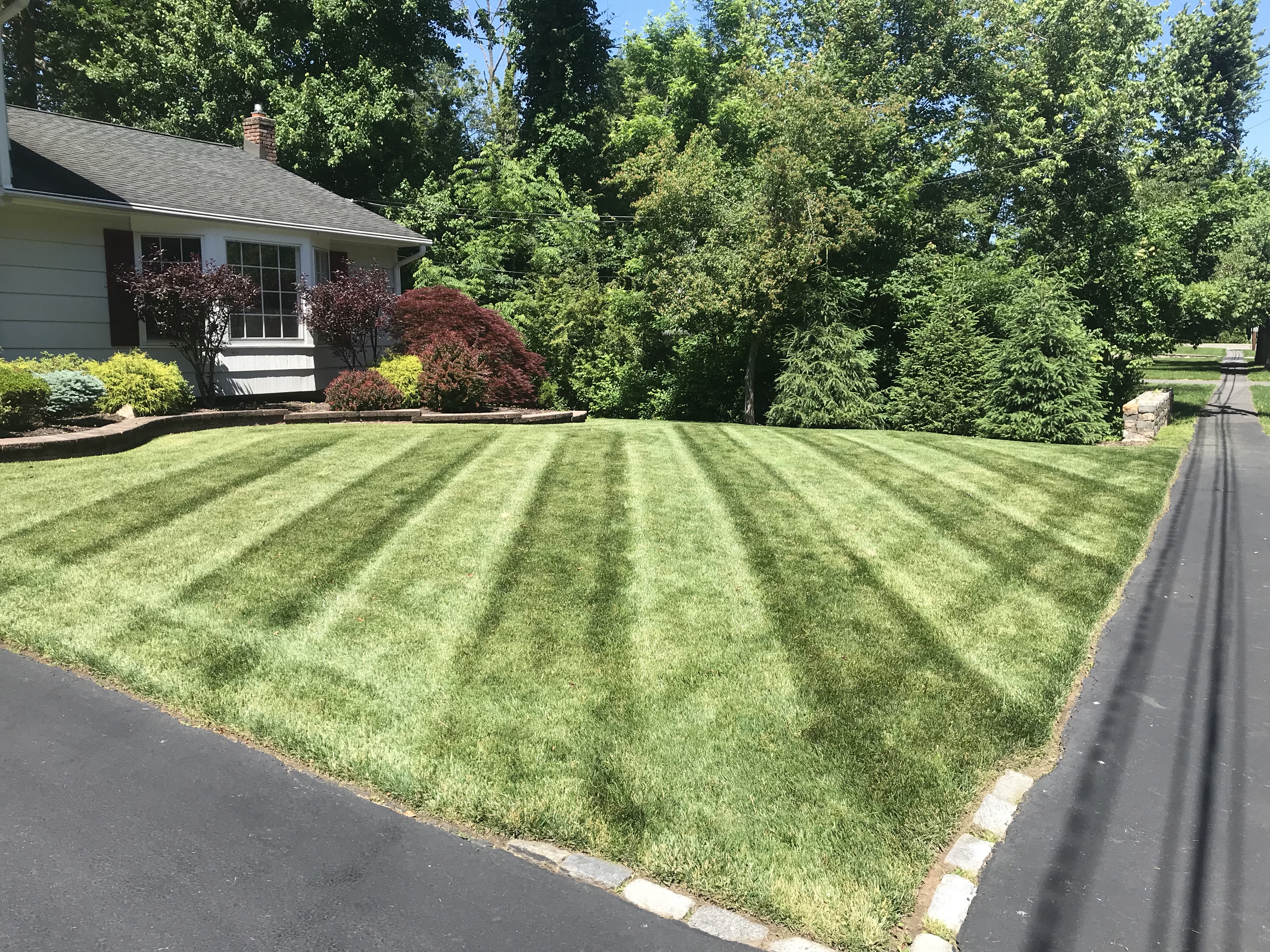 Logo for Manzella Landscaping