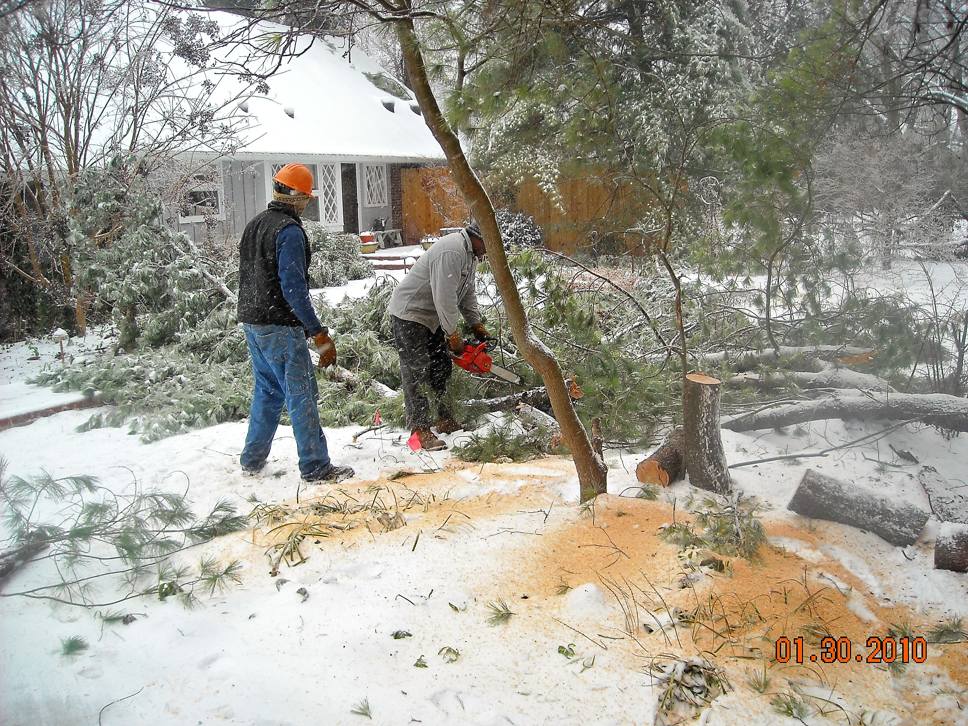 Logo for Roseboro's Treeworks