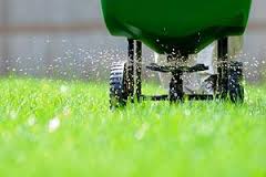 Avatar for Team Turf