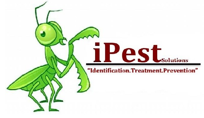 Avatar for iPest Solutions LLC